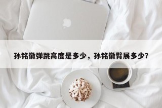 孙铭徽弹跳高度是多少，孙铭徽臂展多少？