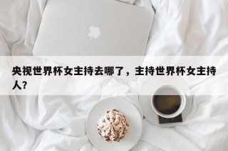 央视世界杯女主持去哪了，主持世界杯女主持人？