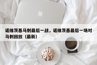诺维茨基马刺最后一战，诺维茨基最后一场对马刺回放（最新）