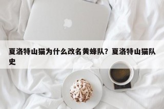 夏洛特山猫为什么改名黄蜂队？夏洛特山猫队史