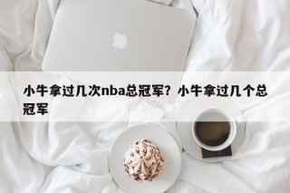 小牛拿过几次nba总冠军？小牛拿过几个总冠军