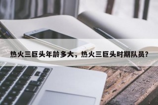 热火三巨头年龄多大，热火三巨头时期队员？