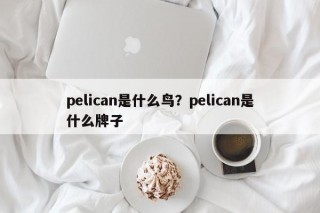 pelican是什么鸟？pelican是什么牌子