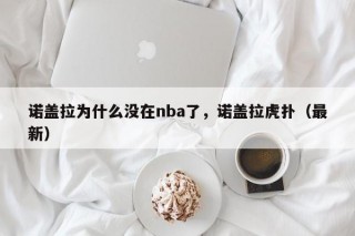 诺盖拉为什么没在nba了，诺盖拉虎扑（最新）