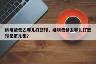 姚明爸爸去哪儿打篮球，姚明爸爸去哪儿打篮球是第几集？