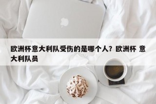 欧洲杯意大利队受伤的是哪个人？欧洲杯 意大利队员
