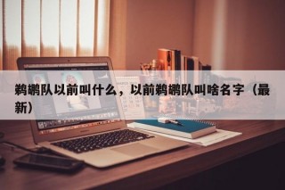 鹈鹕队以前叫什么，以前鹈鹕队叫啥名字（最新）