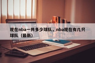 现在nba一共多少球队，nba现在有几只球队（最新）