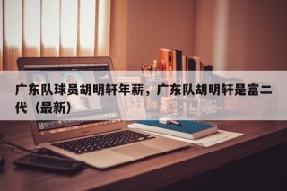 广东队球员胡明轩年薪，广东队胡明轩是富二代（最新）