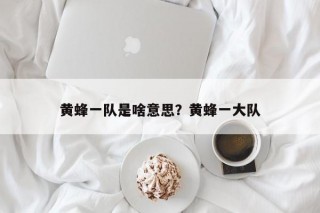 黄蜂一队是啥意思？黄蜂一大队