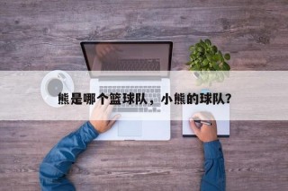 熊是哪个篮球队，小熊的球队？