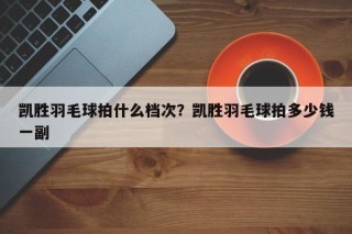 凯胜羽毛球拍什么档次？凯胜羽毛球拍多少钱一副