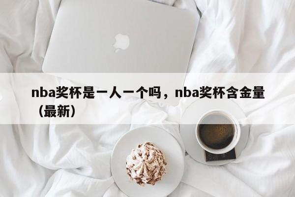 nba奖杯是一人一个吗,nba奖杯含金量(最新)
